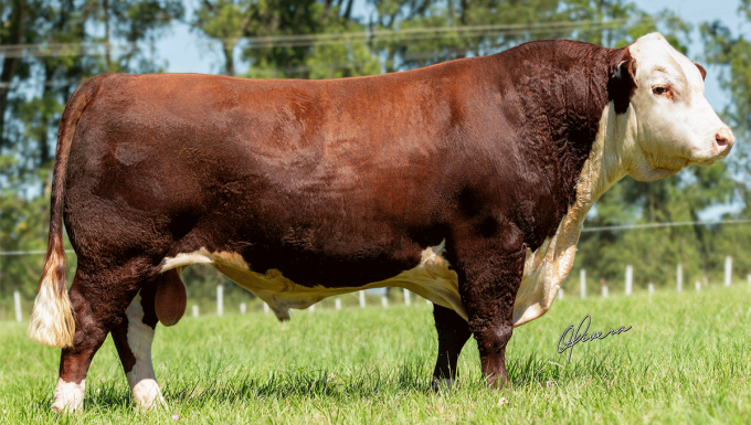 Foto CANOA MIRIM 174 TUTOR