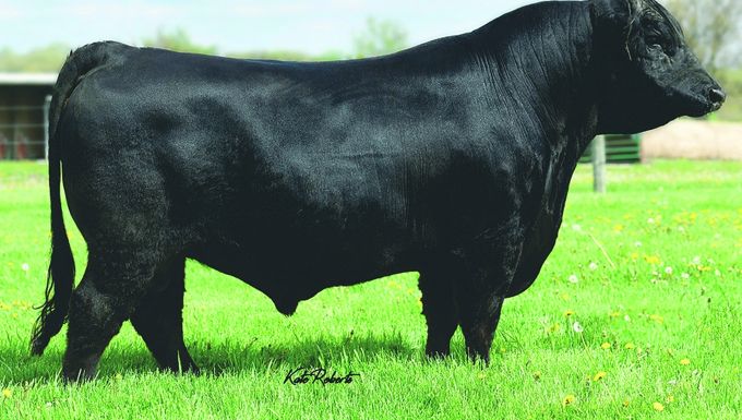 Foto 44 MAIN STREET 7049