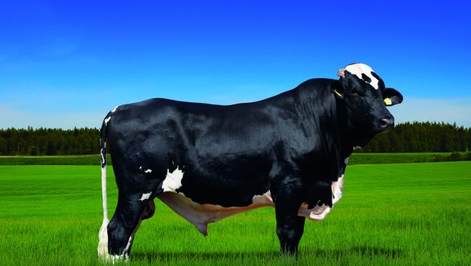 Foto BATUQUE BRASS IS OLHOS D’AGUA