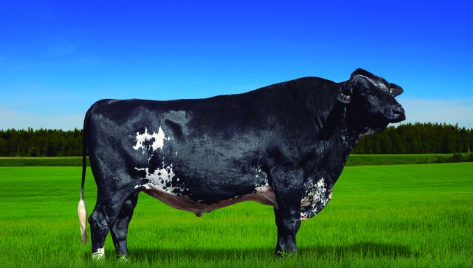 Foto CUPIDO PLANET RENASCER