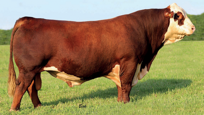 Foto CMF 1720 GOLD RUSH 569G ET