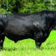 Thumb foto 44 SET APART 0535