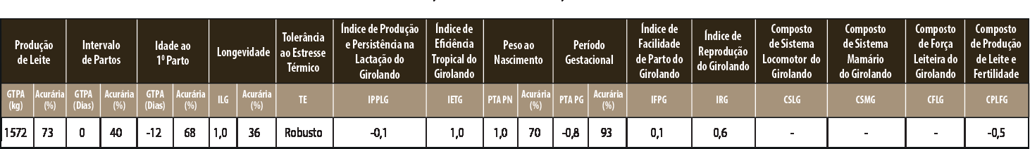 Avaliação JOAQUIM FIV 4365 TAHITI NF IRMÃOS