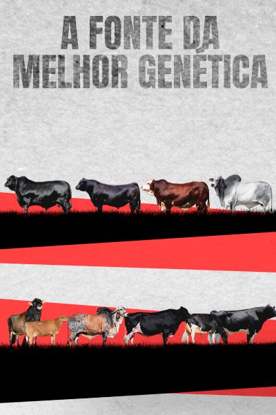 A fonte da Melhor Genética