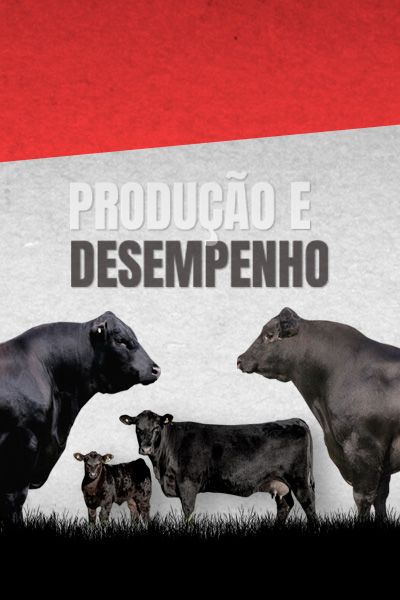 Aqui eles chegam Primeiro