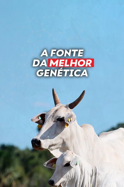 Nelore Select Sires Brasil