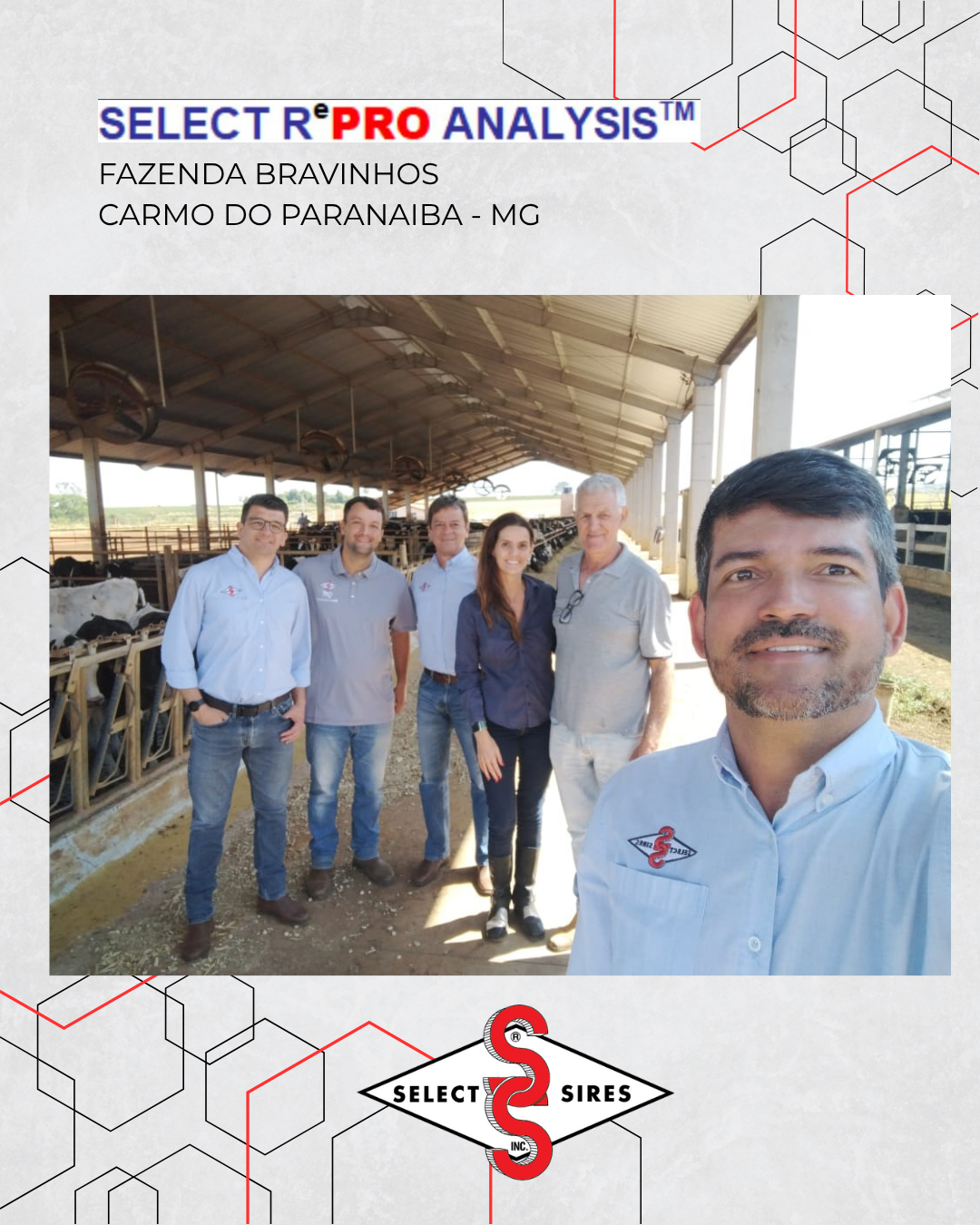 SELECT REPRO ANALYSIS | Notícia | Select Sires