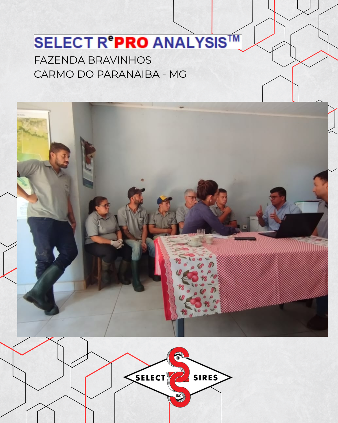 SELECT REPRO ANALYSIS | Notícia | Select Sires