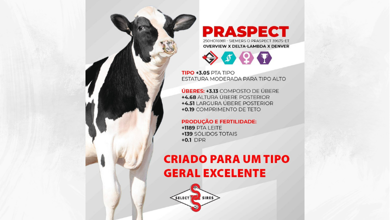 Touros Disponíveis - Select Sires | Notícia | Select Sires