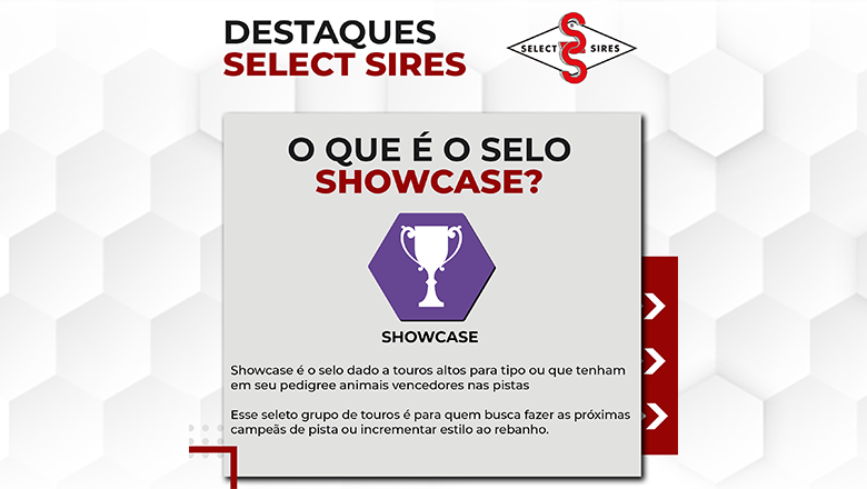 Destaques SELECT SIRES - SHOWCASE | Notícia | Select Sires