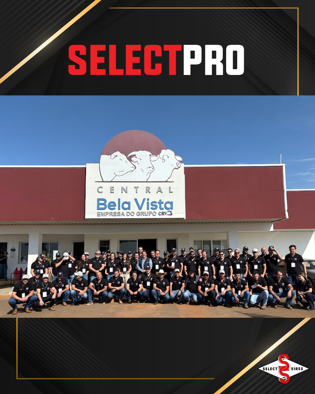 SELECTPRO | Notícia | Select Sires
