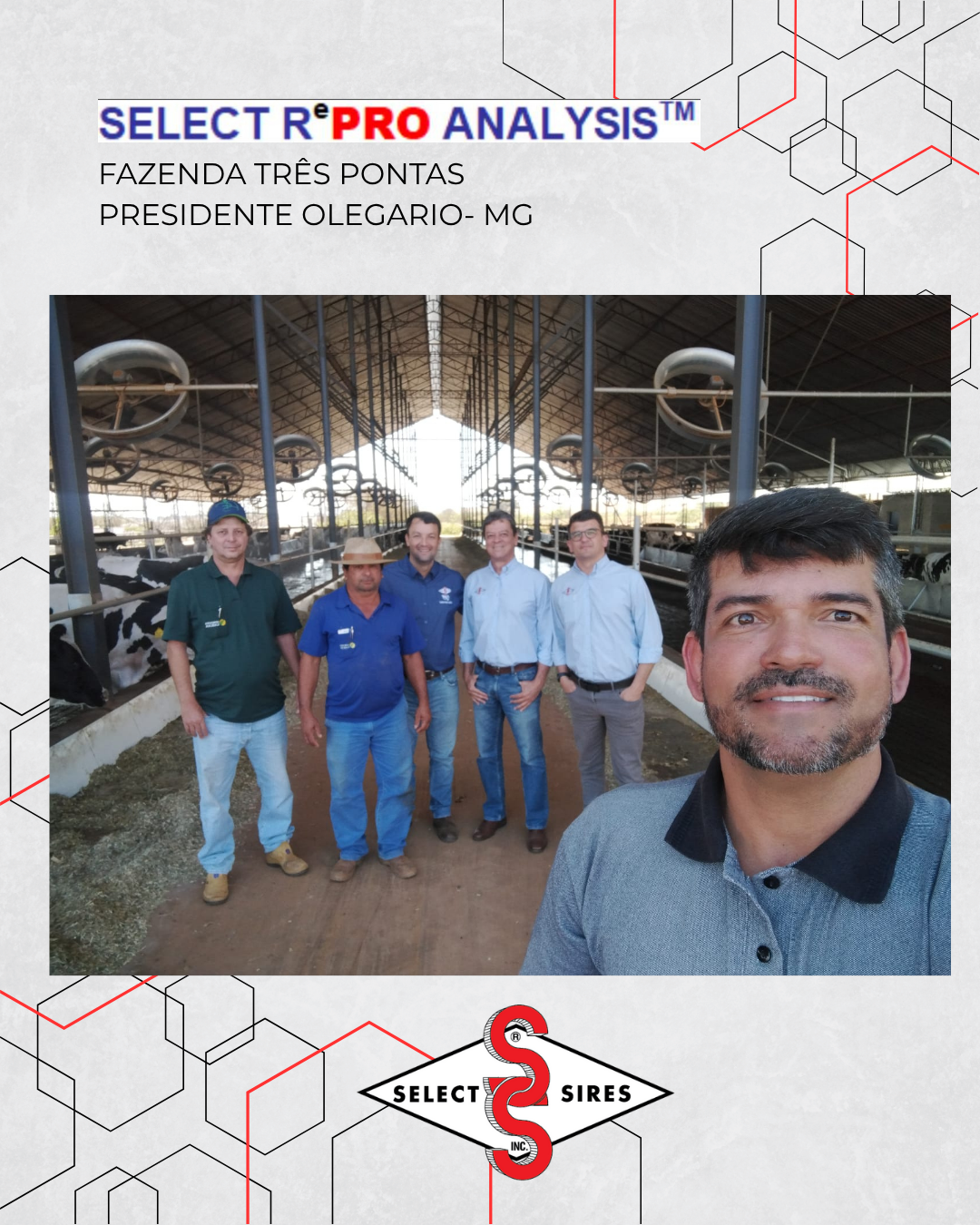 SELECT REPRO ANALYSIS | Notícia | Select Sires