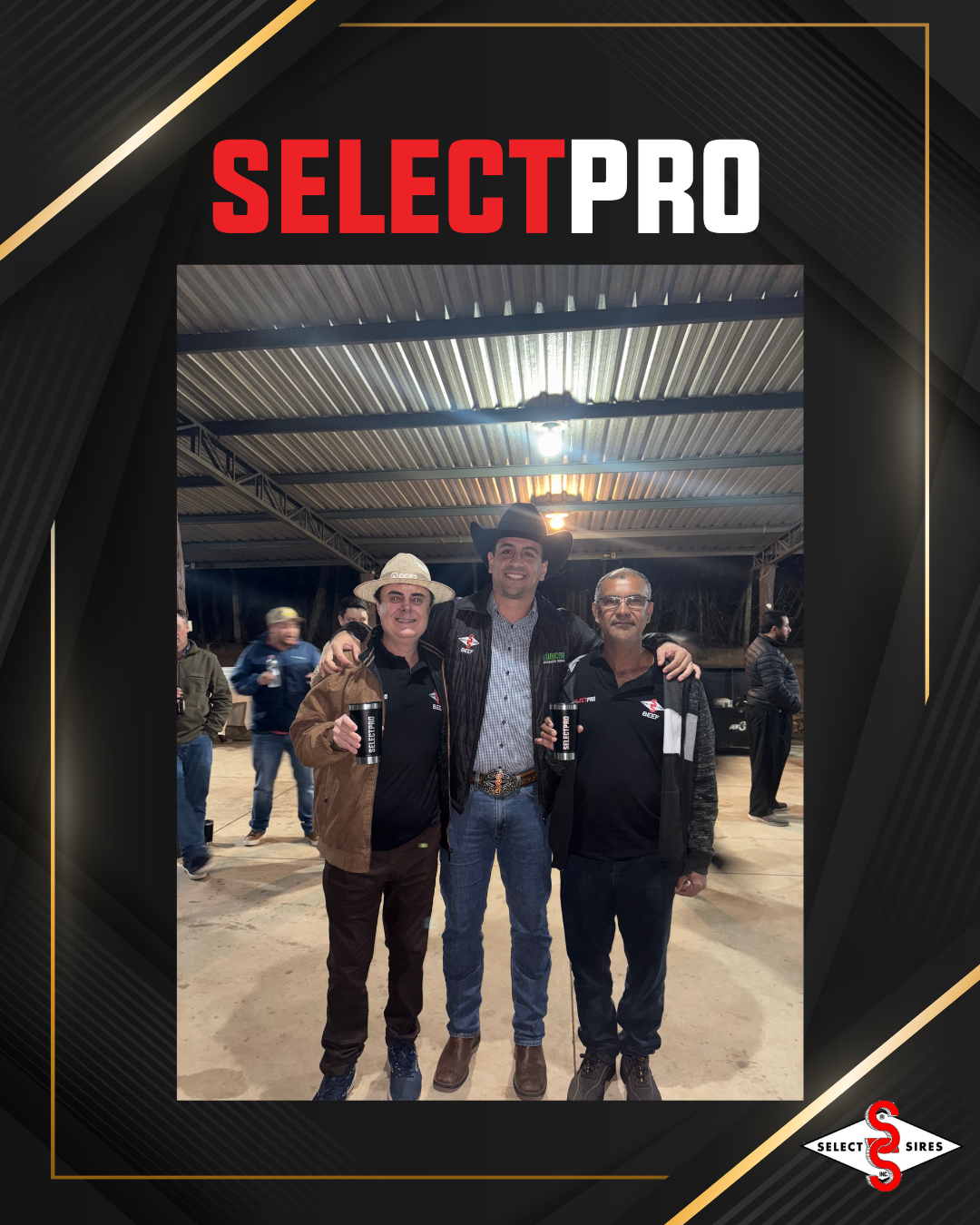 SELECTPRO | Notícia | Select Sires