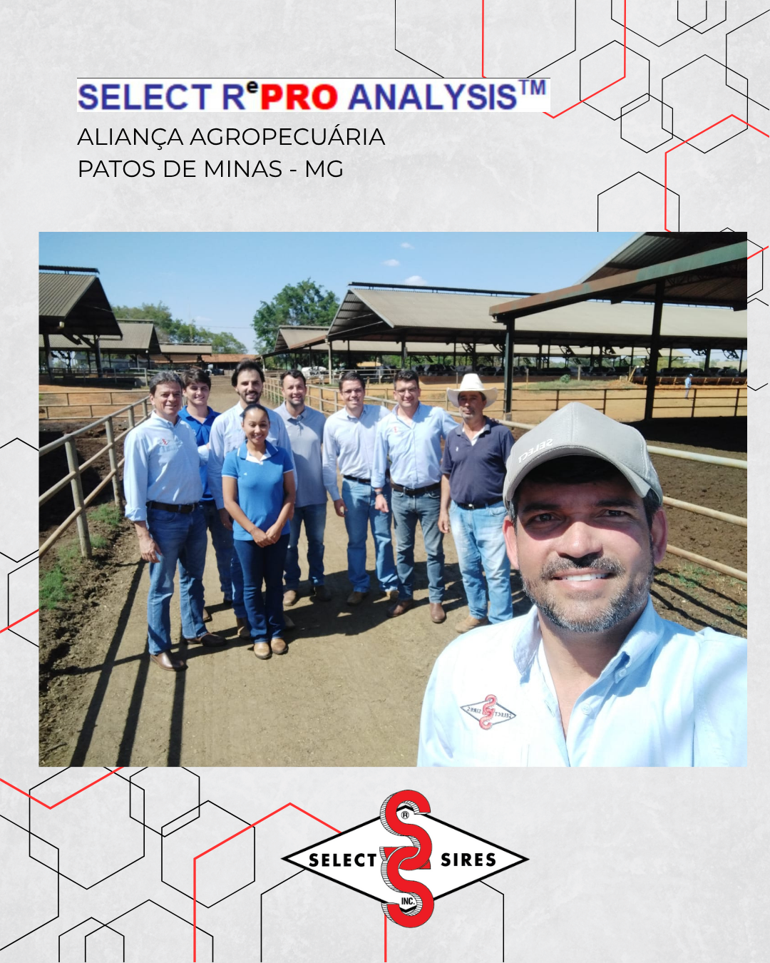SELECT REPRO ANALYSIS | Notícia | Select Sires