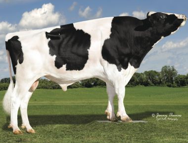 As vendas de sêmen do DOC lhe rendem uma filiação ao clube dos milionários