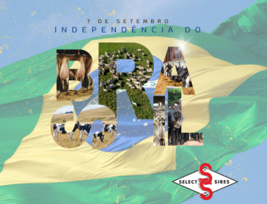 07 de Setembro - Dia da Independência do Brasil