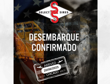DESEMBARQUE CONFIRMADO