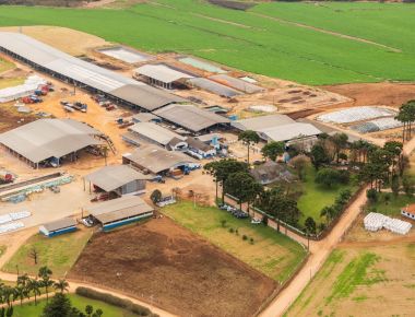 2° Tour Genético Select Sires na @fazendafini