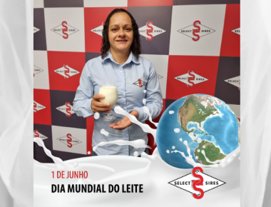 Leite Oferece um sono tranquilo