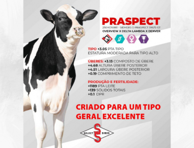 Touros Disponíveis - Select Sires