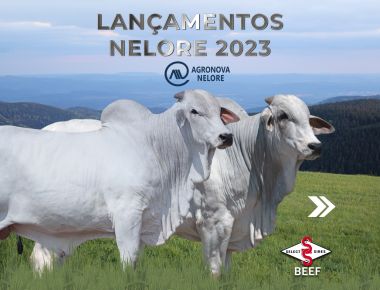 LANÇAMENTOS NELORE 2023 - AGRONOVA