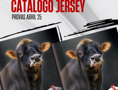 NOVO CATÁLOGO DIGITAL JERSEY / ABRIL 2025