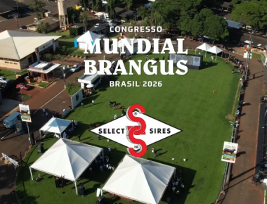 CONGRESSSO MUNDIAL DA RAÇA BRANGUS 2026