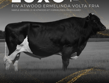 LUXO FIV ATWOOD ERMELINDA VOLTA FRIA