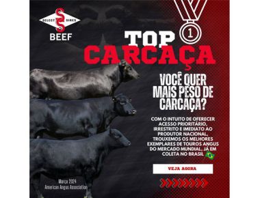 Touros Top Carcaça