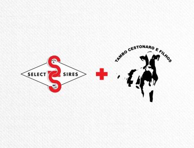 DIA DE CAMPO | SELECT SIRES E TAMBO CESTONARO E FILHOS 