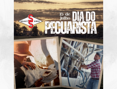 Dia 15 de Julho - Dia do Pecuarista.