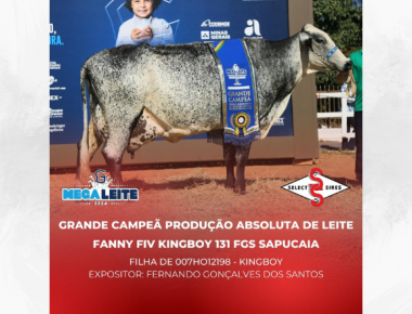 MEGALEITE 2024 - SELECT SIRES: RESULTADOS EM TORNEIO LEITEIRO