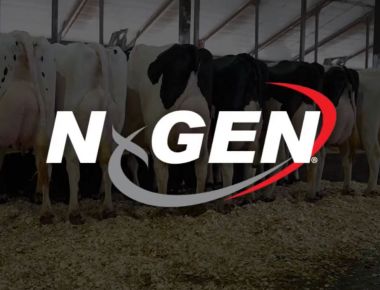 O NxGEN está revolucionando a genética