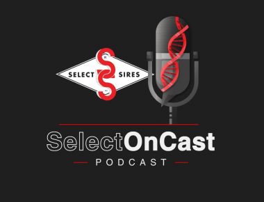 SELECT ON CAST