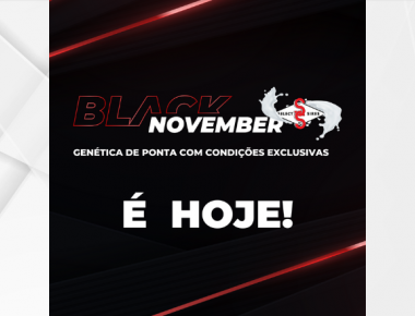 É HOJE! - BLACK NOVEMBER SELECT SIRES