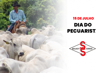 15/07 - Dia do Pecuarista