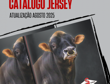 NOVO CATÁLOGO DIGITAL JERSEY / AGOSTO 2025