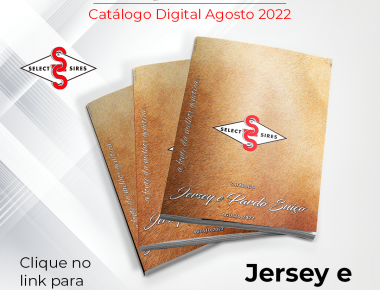 Lançamento Catálogo Digital Jersey e Pardo Suíço