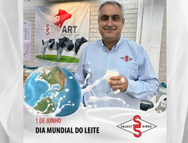 Leite hidrata o corpo