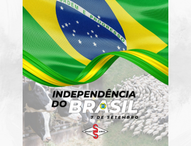 7 DE SETEMBRO - INDEPENDÊNCIA DO BRASIL