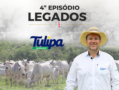 LEGADOSS - EPISÓDIO 4 | TULIPA AGROPECUÁRIA