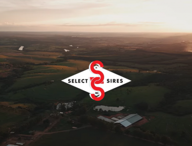  INSTITUCIONAL SELECT SIRES 2026