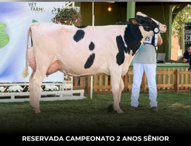 EXPOLEITE 2025