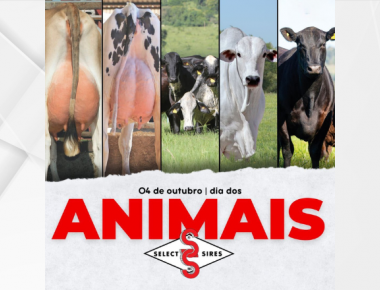 04 de outubro - Dia dos Animais