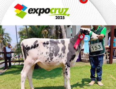 FEXPOCRUZ 2025