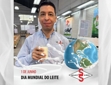 O Leite é um alimento completo 