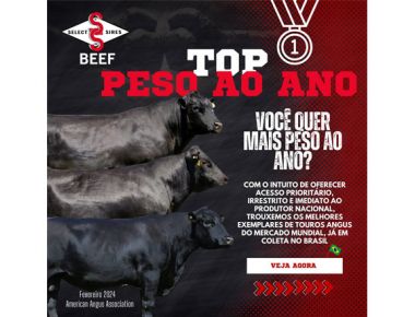 Touros Top Peso ao Ano