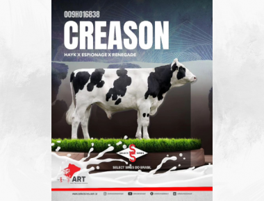 Select Sires apresenta: 009HO16838 CREASON