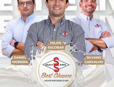 IVE SELECT SIRES BEST CHANCE