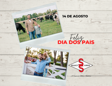 14 de Agosto